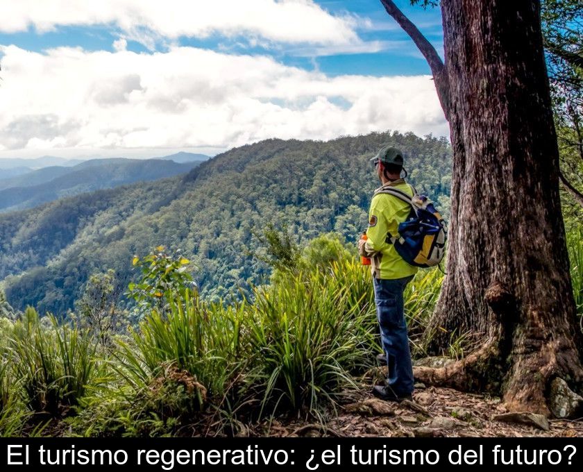 El Turismo Regenerativo: ¿el Turismo Del Futuro?