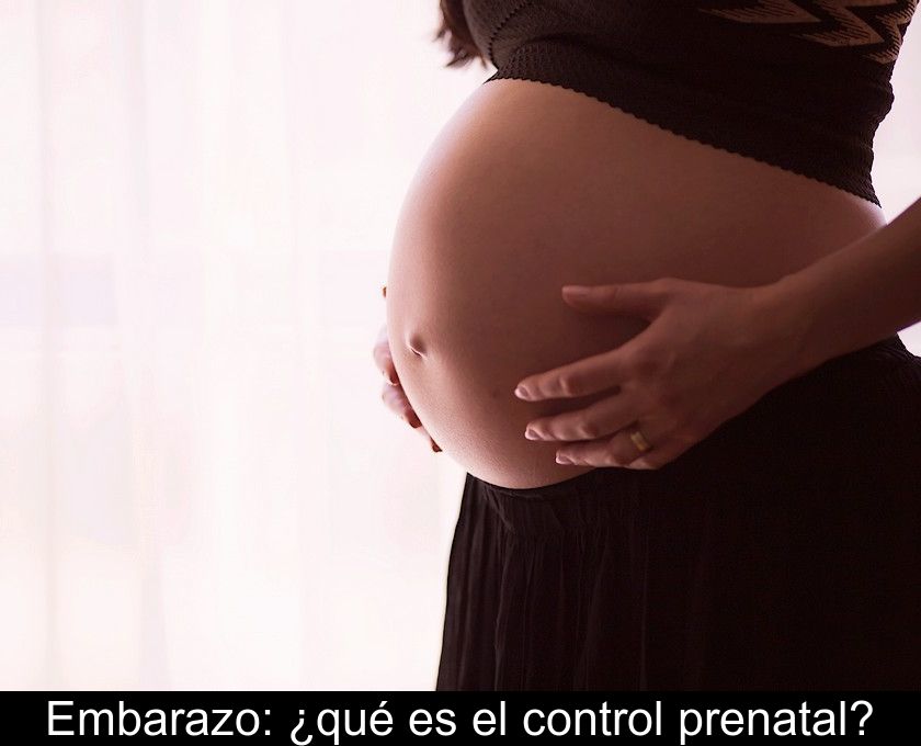 Embarazo: ¿qué Es El Control Prenatal?