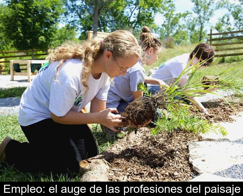 Empleo: El Auge De Las Profesiones Del Paisaje