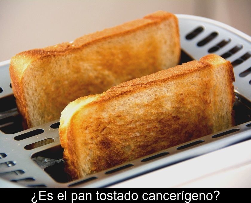 ¿es El Pan Tostado Cancerígeno?