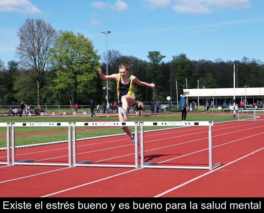 Existe El Estrés Bueno Y Es Bueno Para La Salud Mental