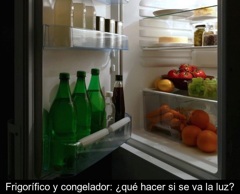 Frigorífico Y Congelador: ¿qué Hacer Si Se Va La Luz?