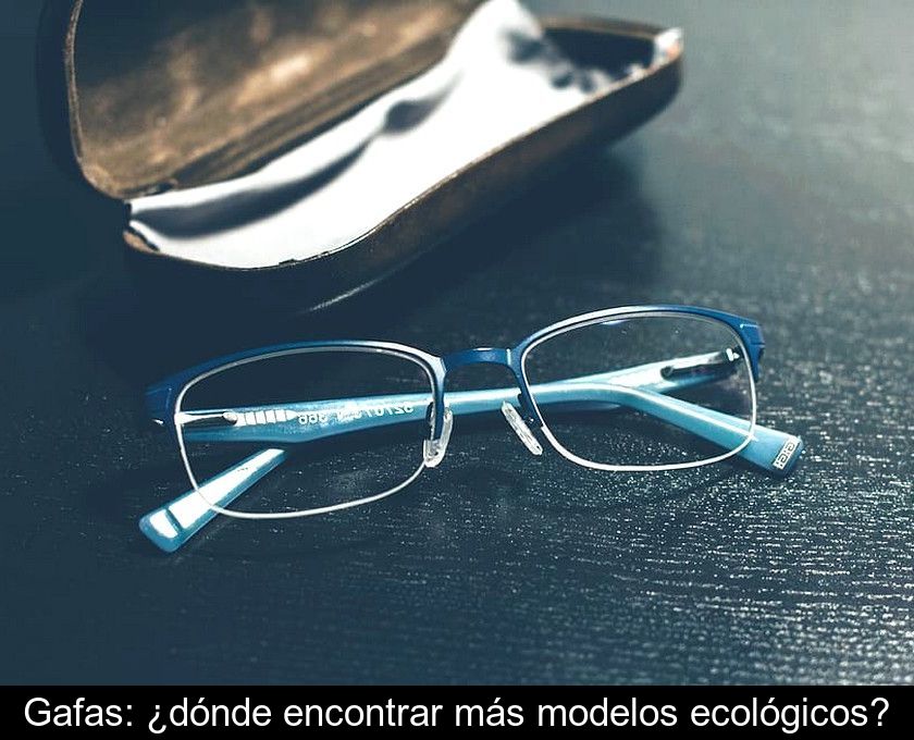 Gafas: ¿dónde Encontrar Más Modelos Ecológicos?