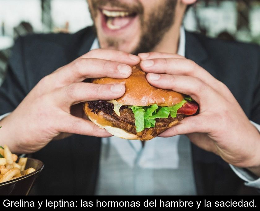 Grelina Y Leptina: Las Hormonas Del Hambre Y La Saciedad.
