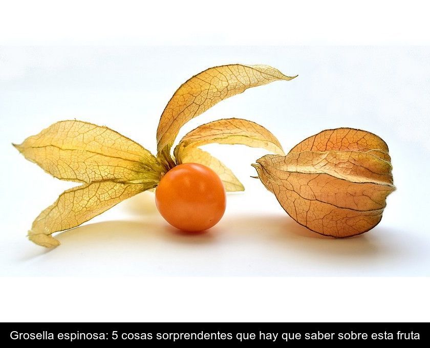 Grosella Espinosa: 5 Cosas Sorprendentes Que Hay Que Saber Sobre Esta Fruta