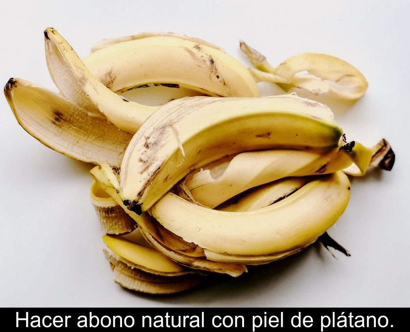 Hacer Abono Natural Con Piel De Plátano.
