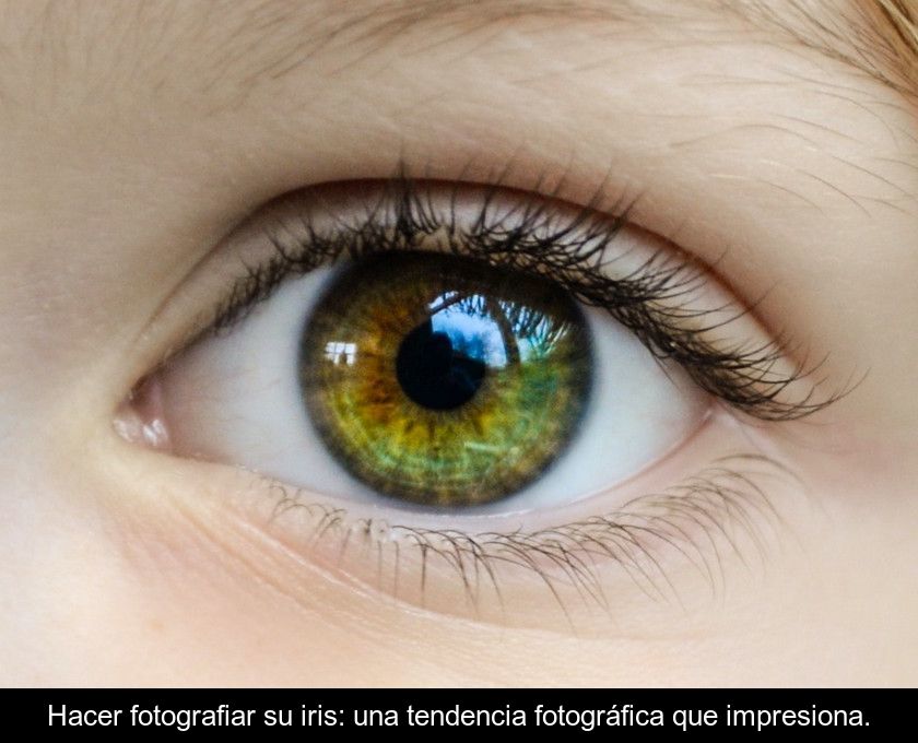 Hacer Fotografiar Su Iris: Una Tendencia Fotográfica Que Impresiona.