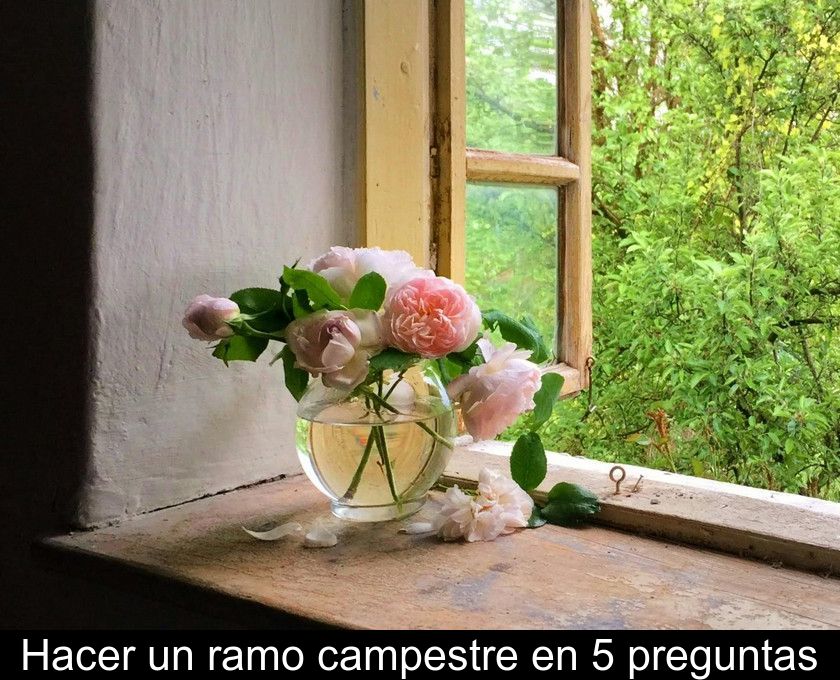 Hacer Un Ramo Campestre En 5 Preguntas