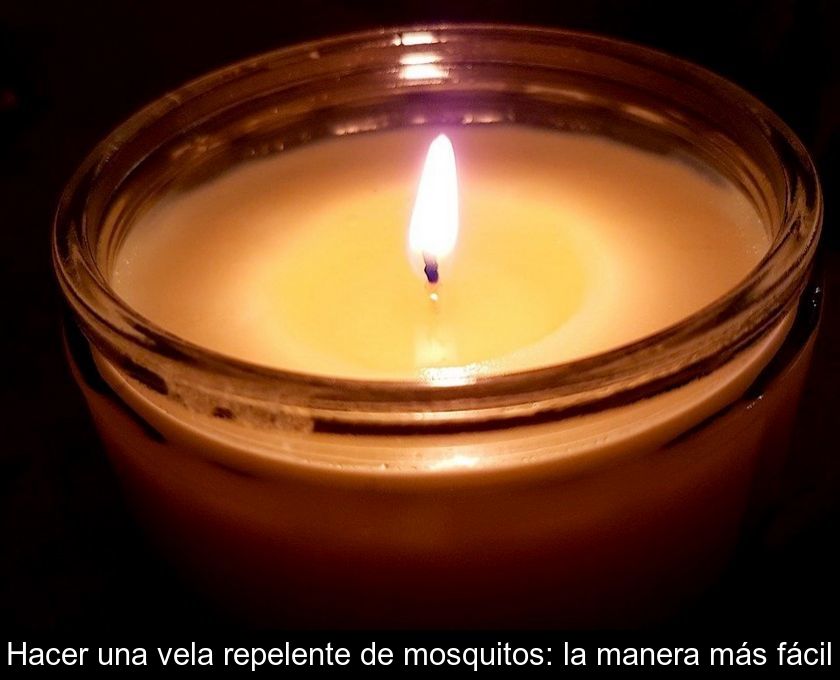 Chillido Volver a disparar Extensamente Hacer una vela repelente de mosquitos: la manera más fácil