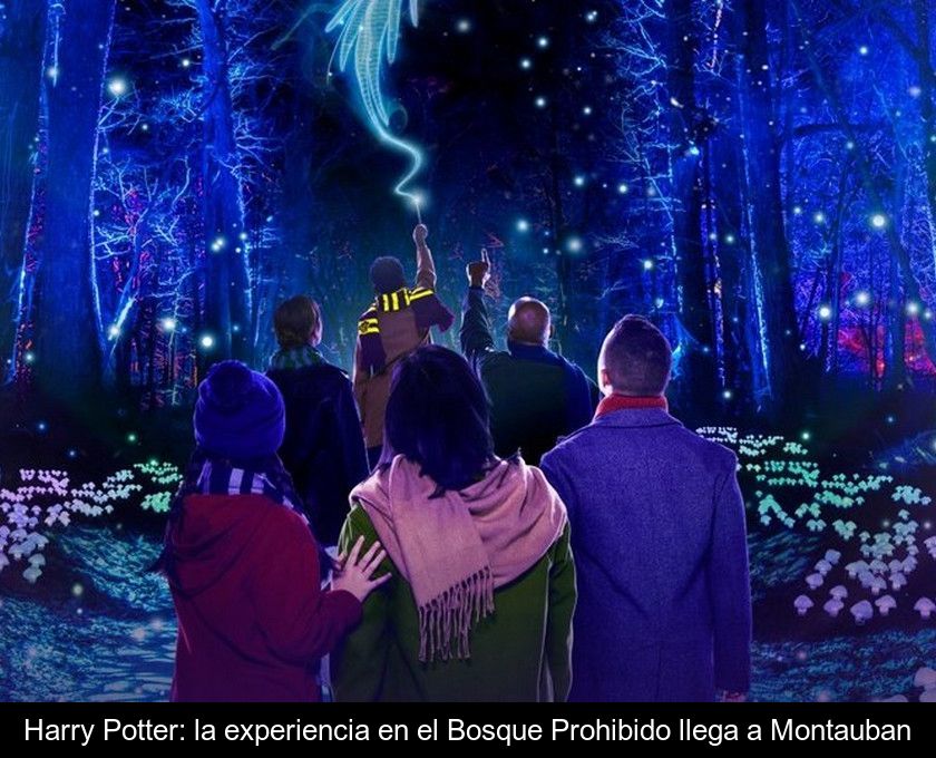 Harry Potter: La Experiencia En El Bosque Prohibido Llega A Montauban