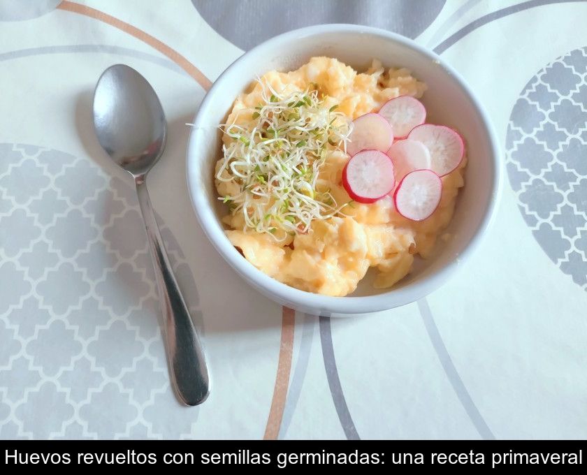 Huevos Revueltos Con Semillas Germinadas: Una Receta Primaveral