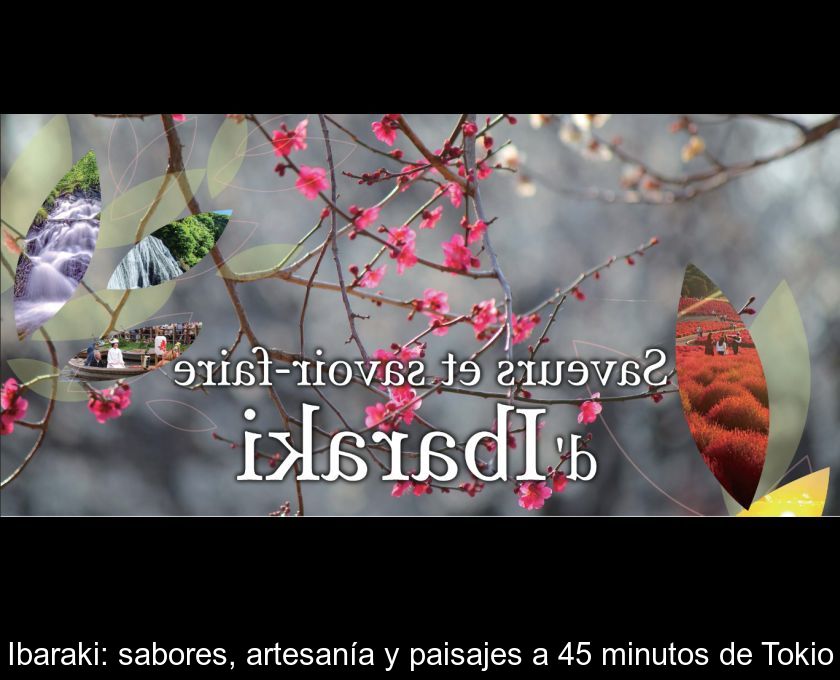 Ibaraki: Sabores, Artesanía Y Paisajes A 45 Minutos De Tokio