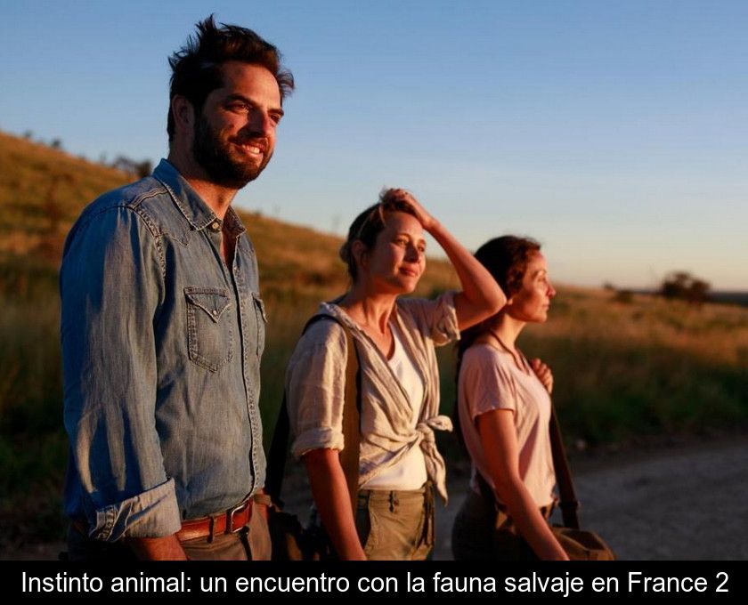 Instinto Animal: Un Encuentro Con La Fauna Salvaje En France 2