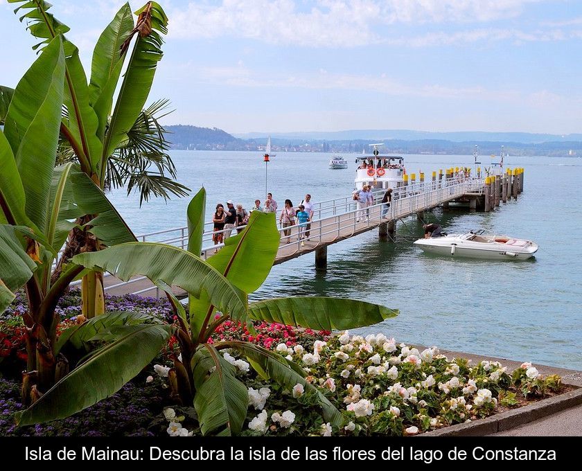 Isla De Mainau: Descubra La Isla De Las Flores Del Lago De Constanza