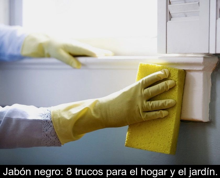 Jabón Negro: 8 Trucos Para El Hogar Y El Jardín.