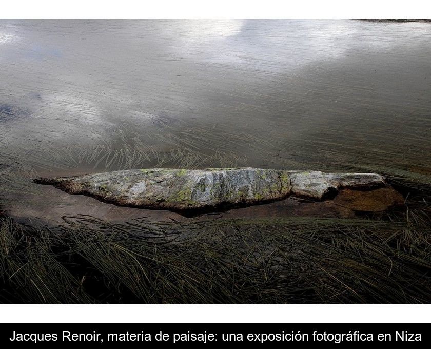 Jacques Renoir, Materia De Paisaje: Una Exposición Fotográfica En Niza