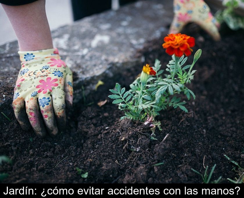 Jardín: ¿cómo Evitar Accidentes Con Las Manos?