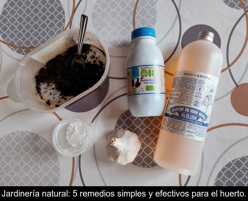 Jardinería Natural: 5 Remedios Simples Y Efectivos Para El Huerto.