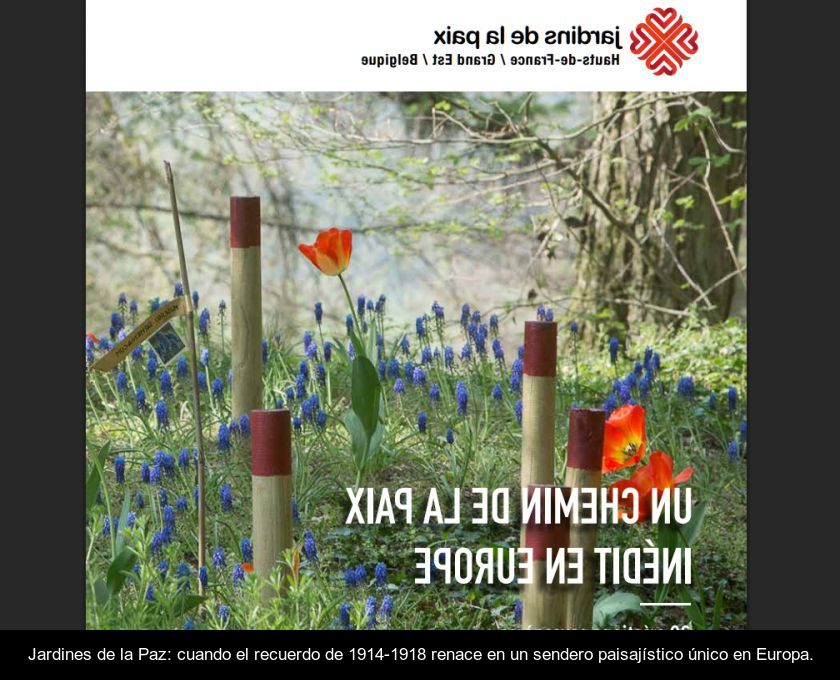 Jardines De La Paz: Cuando El Recuerdo De 1914-1918 Renace En Un Sendero Paisajístico único En Europa.