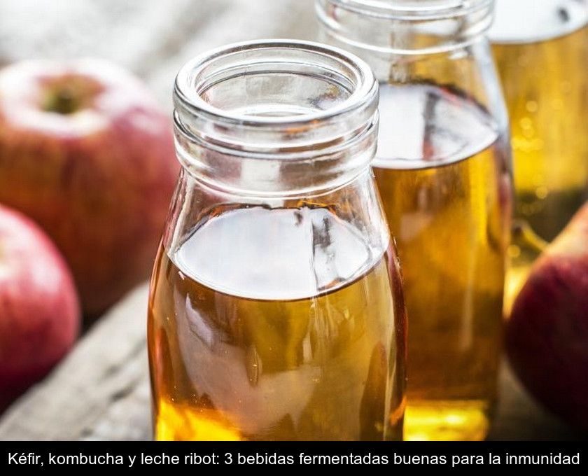 Kéfir, Kombucha Y Leche Ribot: 3 Bebidas Fermentadas Buenas Para La Inmunidad