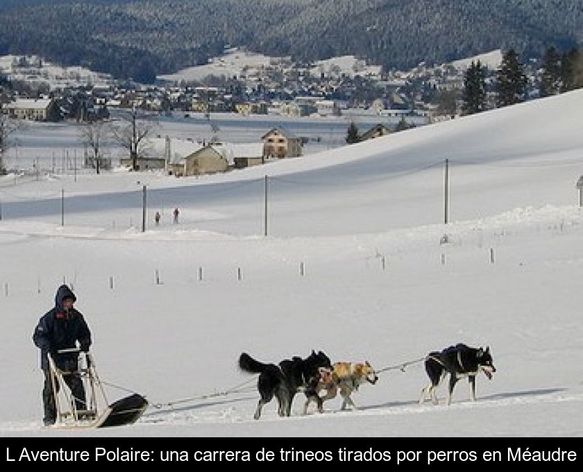 L'aventure Polaire: Una Carrera De Trineos Tirados Por Perros En Méaudre