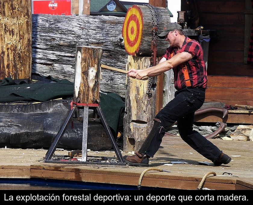 La Explotación Forestal Deportiva: Un Deporte Que Corta Madera.