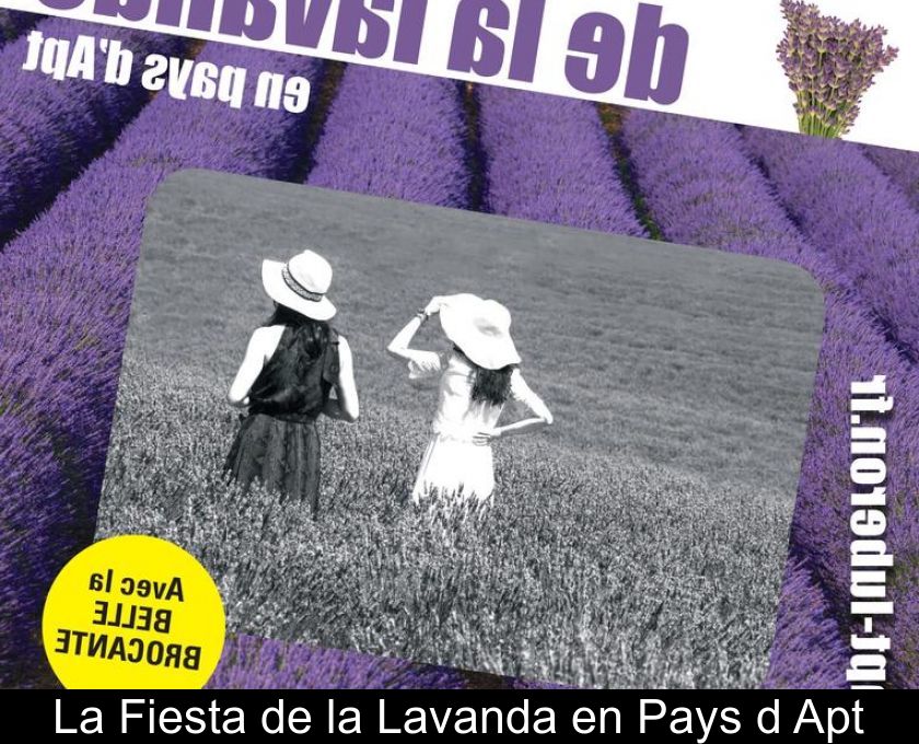 La Fiesta De La Lavanda En Pays D'apt