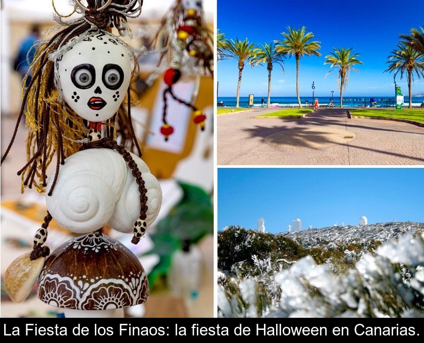 La Fiesta De Los Finaos: La Fiesta De Halloween En Canarias.