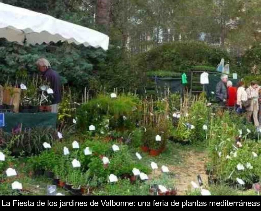 La Fiesta De Los Jardines De Valbonne: Una Feria De Plantas Mediterráneas