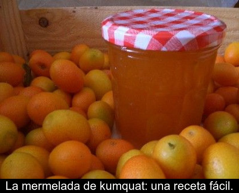 La Mermelada De Kumquat: Una Receta Fácil.