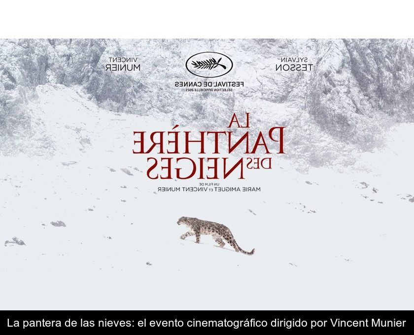 La Pantera De Las Nieves: El Evento Cinematográfico Dirigido Por Vincent Munier