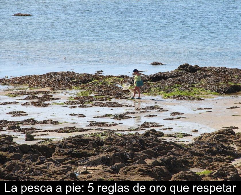 La Pesca A Pie: 5 Reglas De Oro Que Respetar