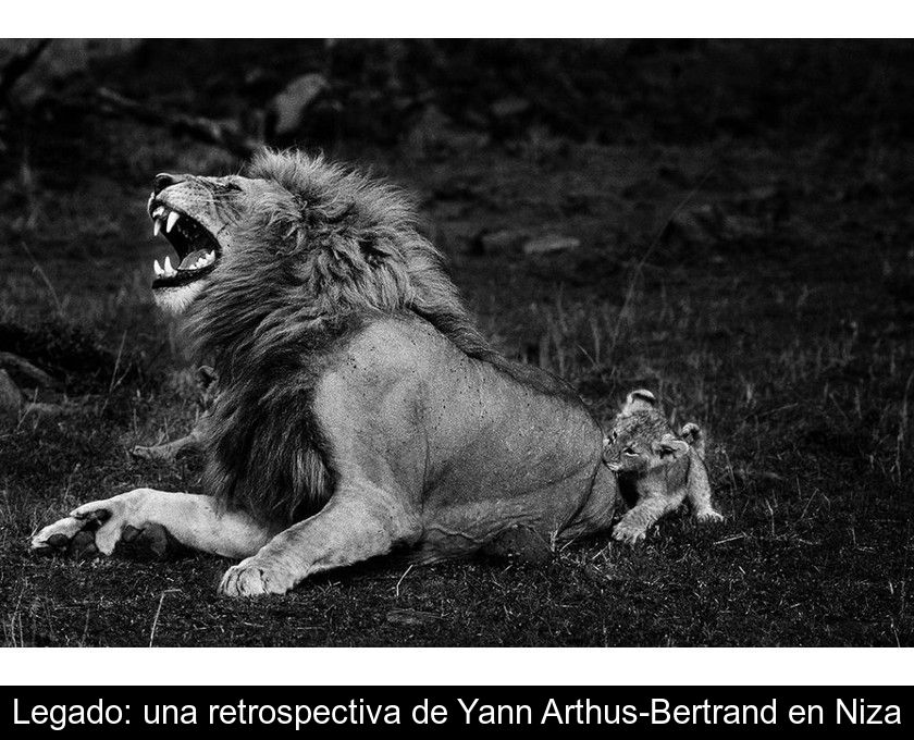 Legado: Una Retrospectiva De Yann Arthus-bertrand En Niza