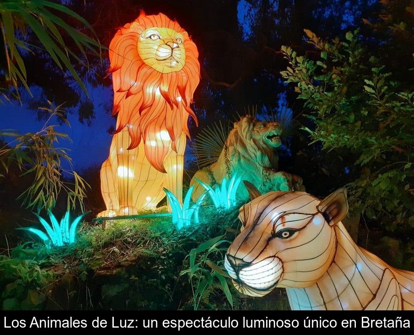 Los Animales De Luz: Un Espectáculo Luminoso único En Bretaña