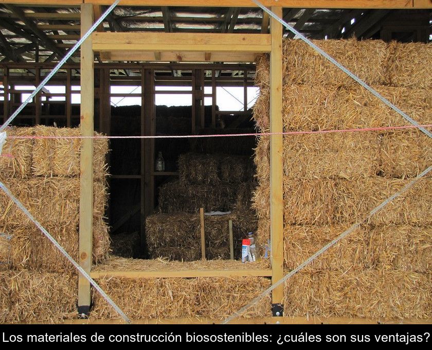Los Materiales De Construcción Biosostenibles: ¿cuáles Son Sus Ventajas?