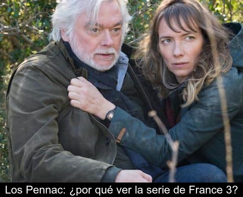 Los Pennac: ¿por Qué Ver La Serie De France 3?