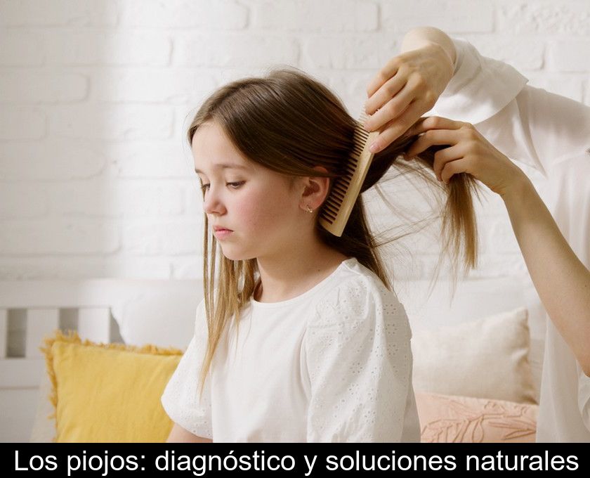 Los Piojos: Diagnóstico Y Soluciones Naturales