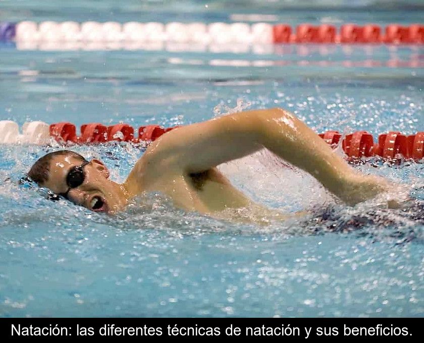 Natación: Las Diferentes Técnicas De Natación Y Sus Beneficios.