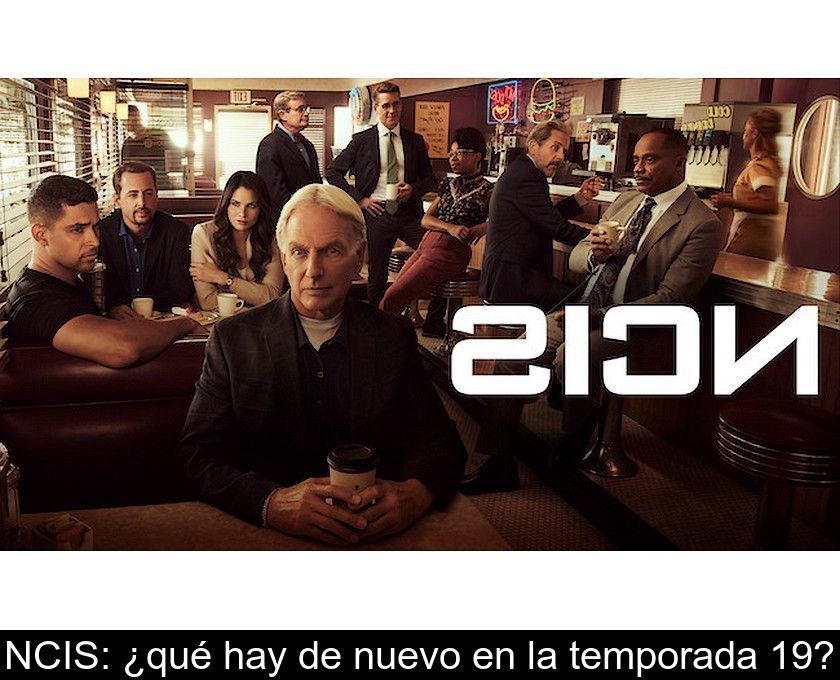 Ncis: ¿qué Hay De Nuevo En La Temporada 19?