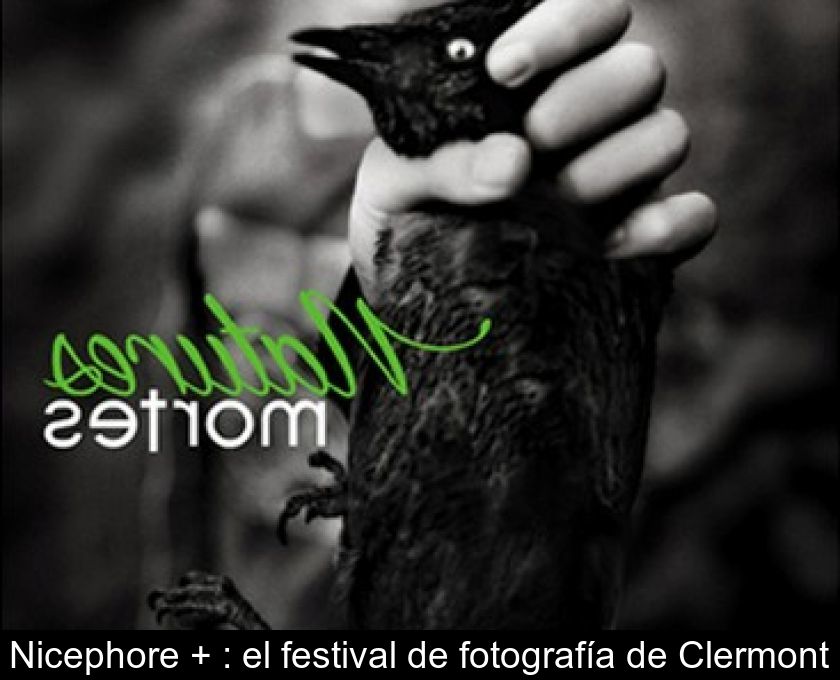 Nicephore + : El Festival De Fotografía De Clermont