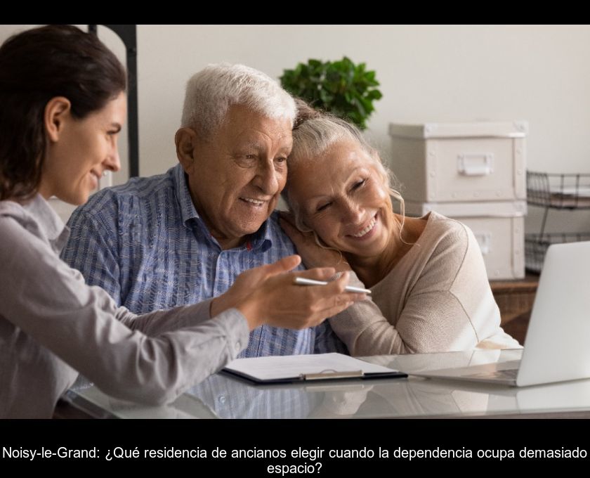 Noisy-le-grand: ¿qué Residencia De Ancianos Elegir Cuando La Dependencia Ocupa Demasiado Espacio?