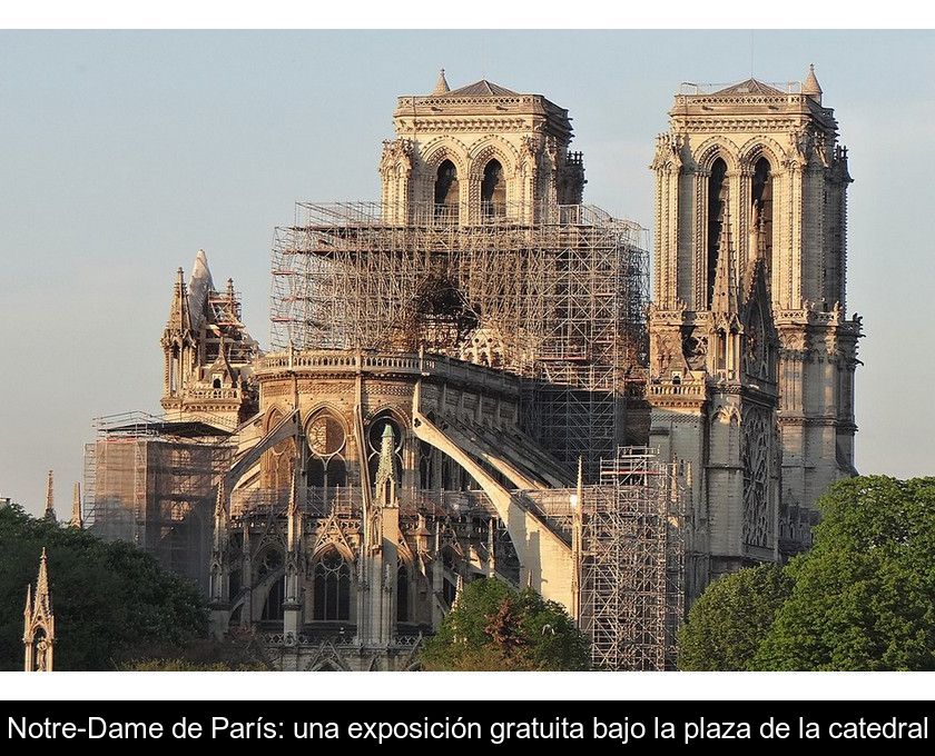 Notre-dame De París: Una Exposición Gratuita Bajo La Plaza De La Catedral