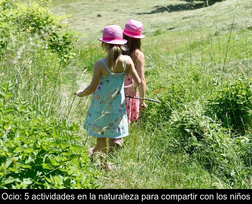 Ocio: 5 Actividades En La Naturaleza Para Compartir Con Los Niños
