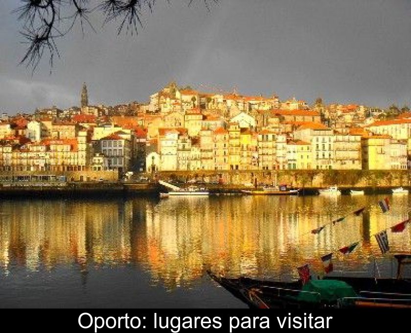 Oporto: Lugares Para Visitar