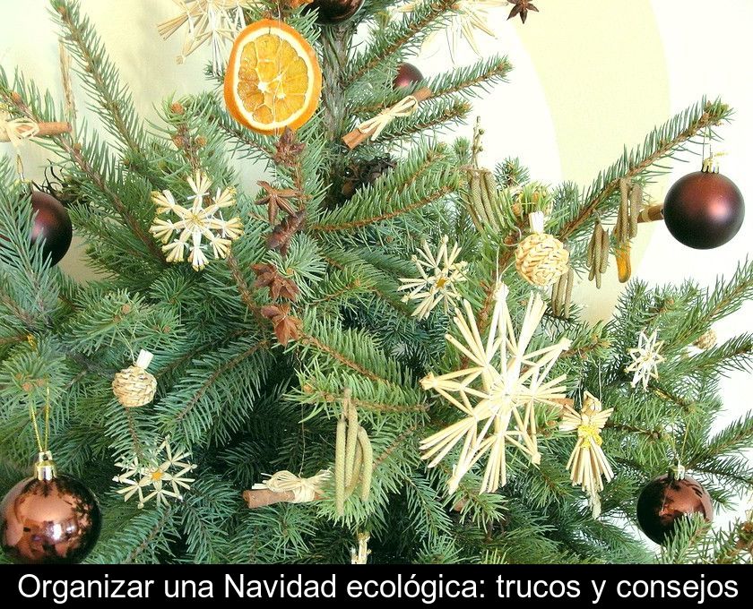 Organizar Una Navidad Ecológica: Trucos Y Consejos