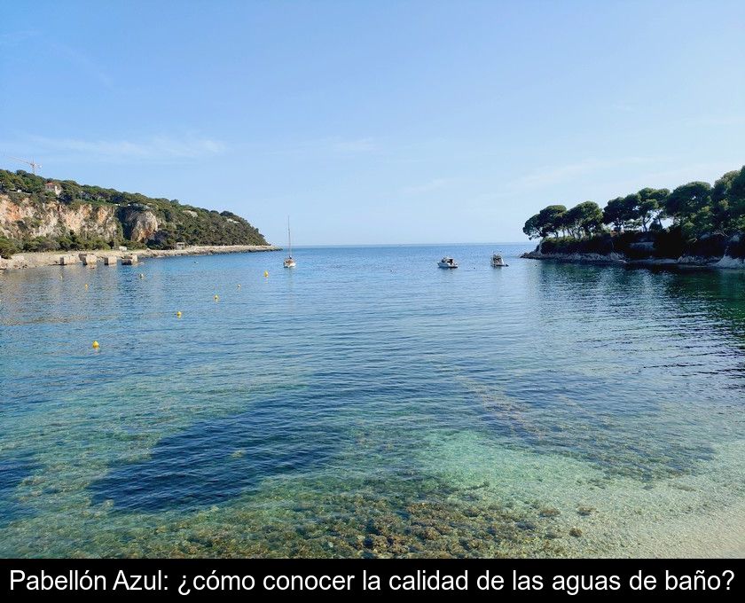 Pabellón Azul: ¿cómo Conocer La Calidad De Las Aguas De Baño?