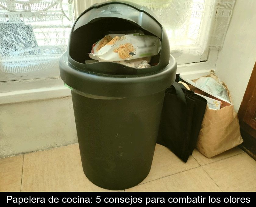 Papelera De Cocina: 5 Consejos Para Combatir Los Olores