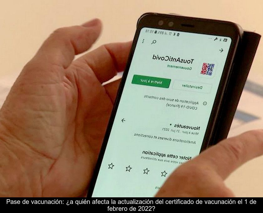 Pase De Vacunación: ¿a Quién Afecta La Actualización Del Certificado De Vacunación El 1 De Febrero De 2022?