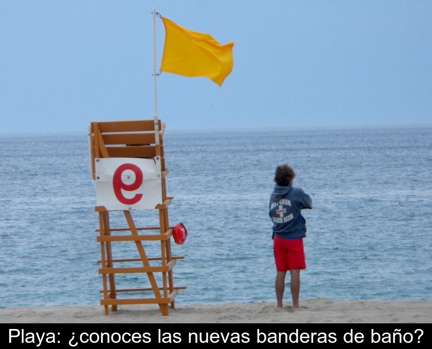 Playa: ¿conoces Las Nuevas Banderas De Baño?