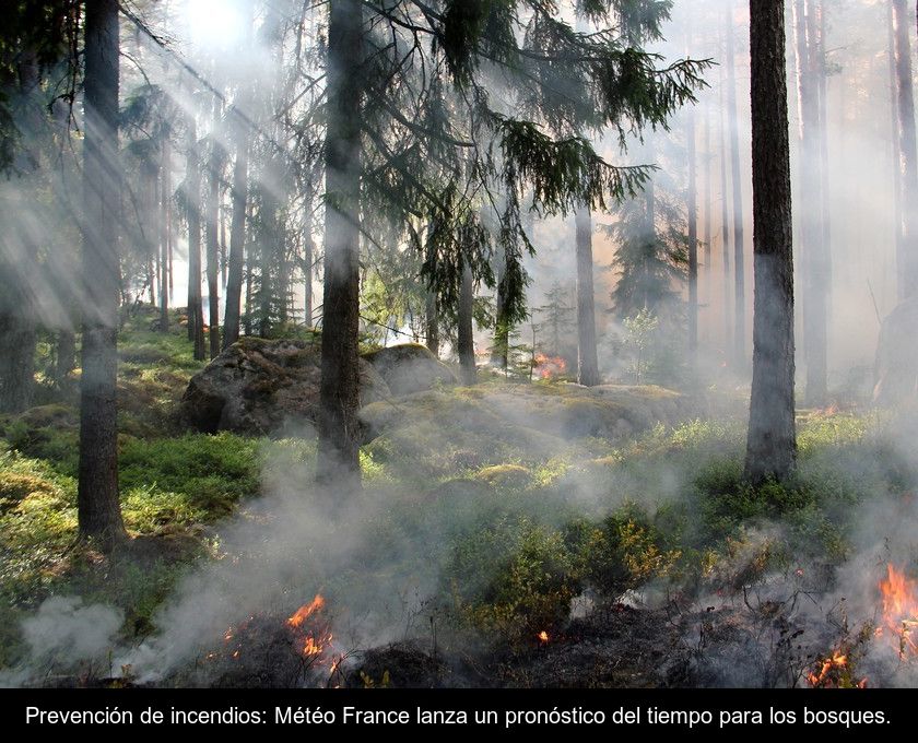 Prevención De Incendios: Météo France Lanza Un Pronóstico Del Tiempo Para Los Bosques.